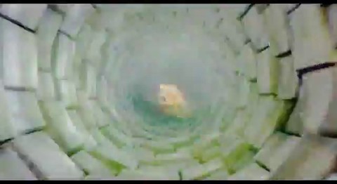 Première bande-annonce de Bright Shadow