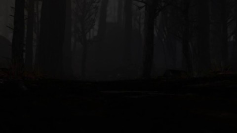 GC 2011 - Première bande-annonce de War of the Roses