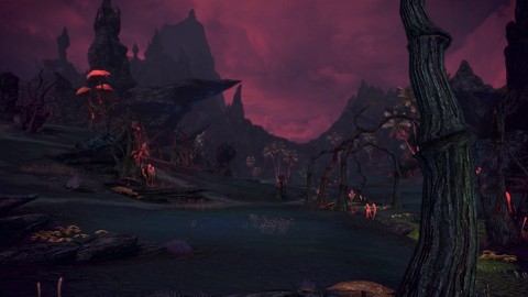 La Montagne Fyr de Tera Online