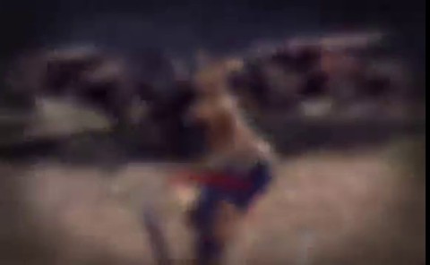 Le gameplay de C9 Seal