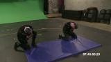 Motion Capture : Zombies affamés