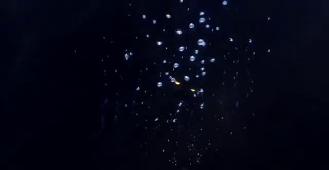 Aperçu du Kraken d'ArcheAge