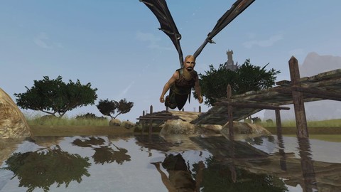 Présentation des ailes volantes