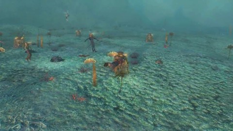 Guide de jeu : Exploration sous-marine