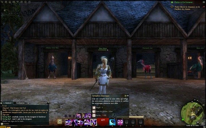 Présentation de l'Envoûteur PvE - partie 2