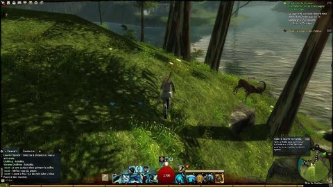 Evènement dynamique : recherche de truffes