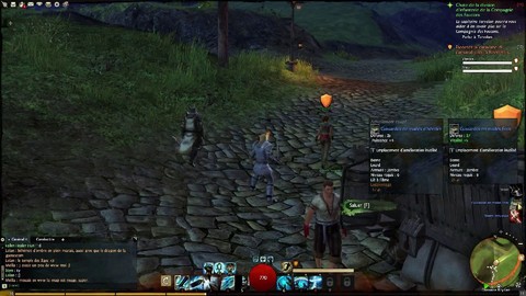 Escorte d'une caravane vers Beetletun