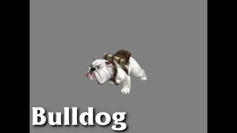 Les animaux de compagnie de Torchlight II