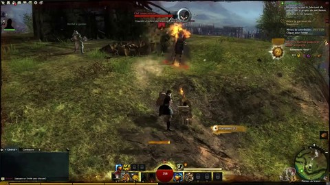 GW2 (PvE) - Events Dynamiques