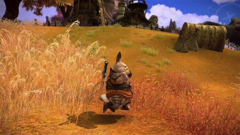 Présentation des peuples jouables de Tera : les Poporis