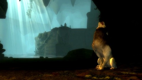 Aperçu de la transformation du druide de DDO: Menace of the Underdark