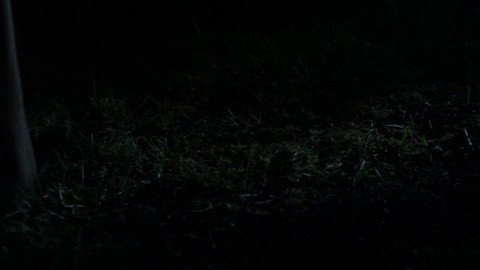 Bande-annonce Live-Action du Seigneur des Anneaux Online: Riders of Rohan