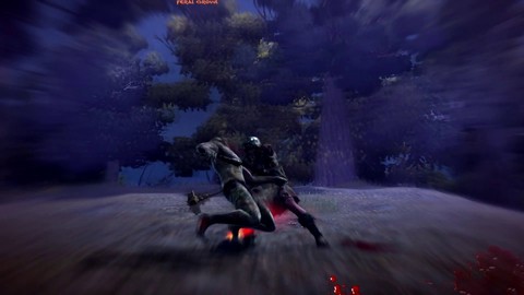 Fatality du Chaman de l'Ours par Henryx