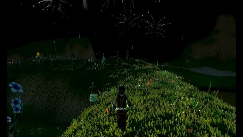 En bas, sous l'écorce, les primes racines