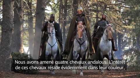 Chevauchez avec nous : l'histoire des montures du Rohan