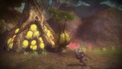 Bande-annonce de la mise à jour "Au-delà du silence" de RaiderZ