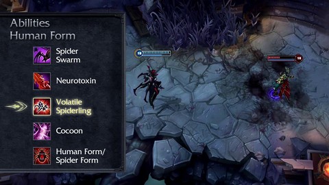 Focus sur : Elise - Reine araignée