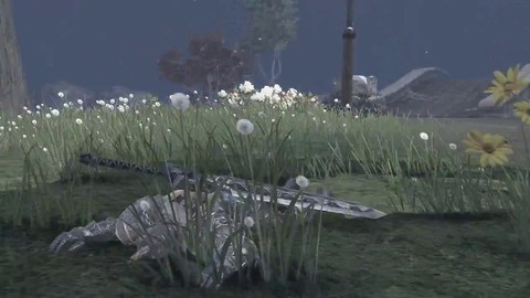 Une journée dans la vie (difficile) de Zygniv