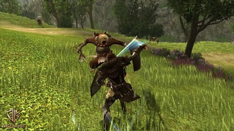 Présentation du Guerrier de DK Online