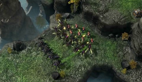 Zergling souche raptor