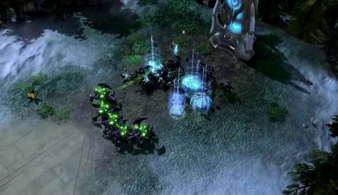 Cafard souche necropare