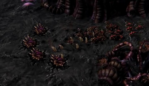 Hydralisk souche rôdeur