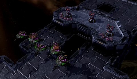 Mutalisk souche seigneur vermine