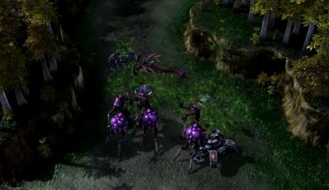 Mutalisk souche vipère