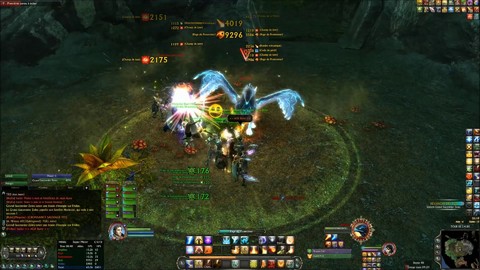 TRD : Grand fauconnier Zoles