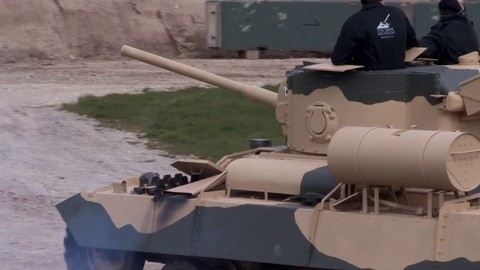 Tiger Day - Des chars en action