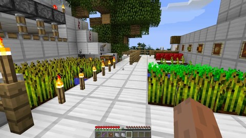 Minecraft Tuto - Agriculture blé carotte et autre