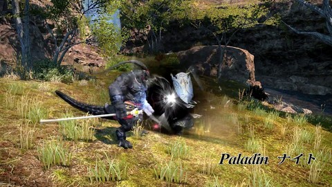 Les Job Actions de Final Fantasy XIV