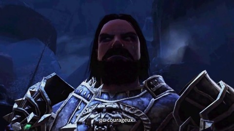 Les fidèles compagnons de Neverwinter (VOSTFR)