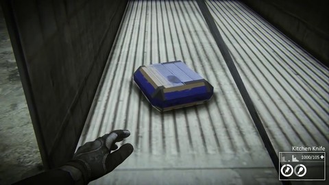 Alpha - Premier aperçu du survival game horrifique Nether