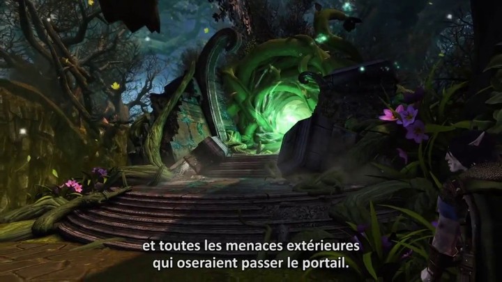 La trame de Neverwinter: Fury of the Feywild (version longue | VOSTFR)