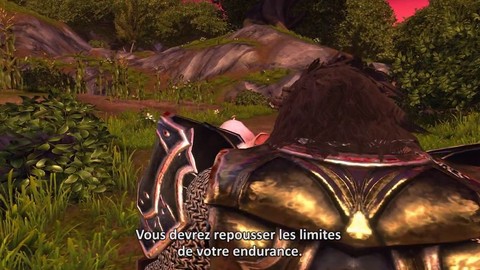 Bande-annonce du Festival d'été de Neverwinter (VOSTFR)