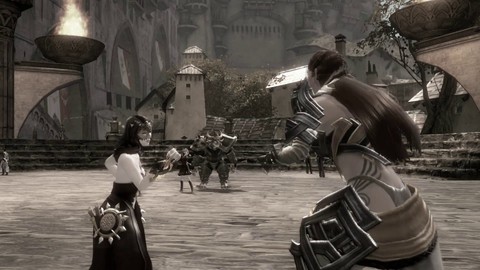 Guild Wars 2 : Bande-annonce des Chroniques de Rorik Stormblade