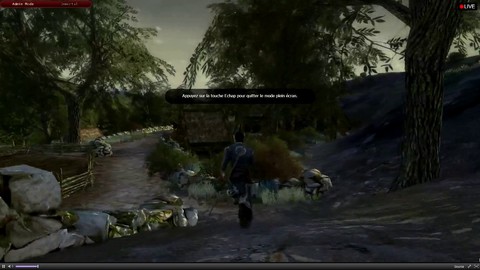 Premiers pas vers le Gouffre de Helm - Broadacres et Dimholt