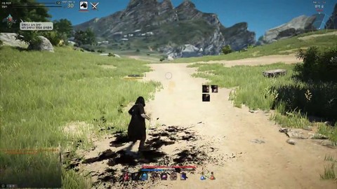 Gameplay : la sorcière de Black Desert Online