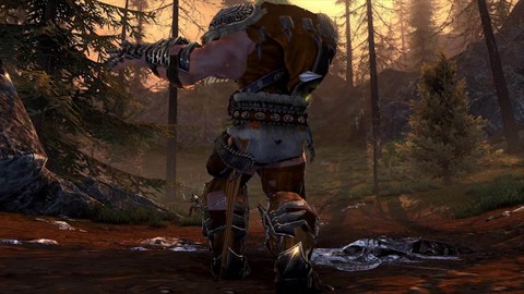 Aperçu du ranger de Neverwinter