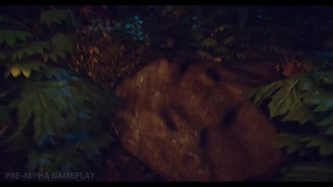 Première bande-annonce de The Forest