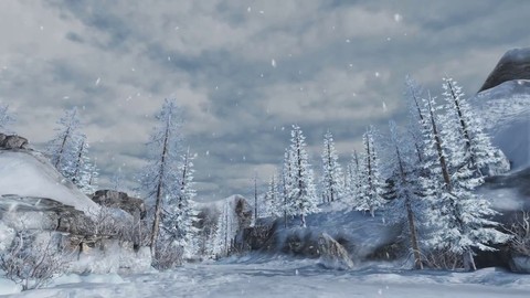 Le "Blessieux Noël" de Bless