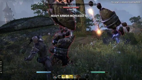 Le gameplay de groupe d'Elder Scrolls Online (VOSTFR)