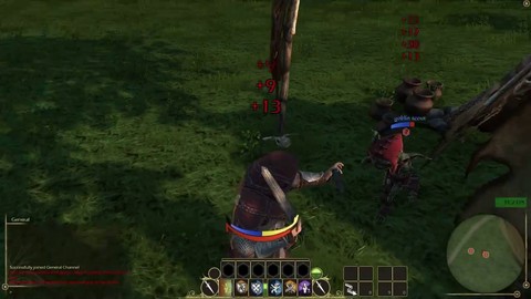 Premier aperçu in-game de Pathfinder Online