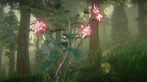 Aperçu de l'écosystème forestier de Landmark