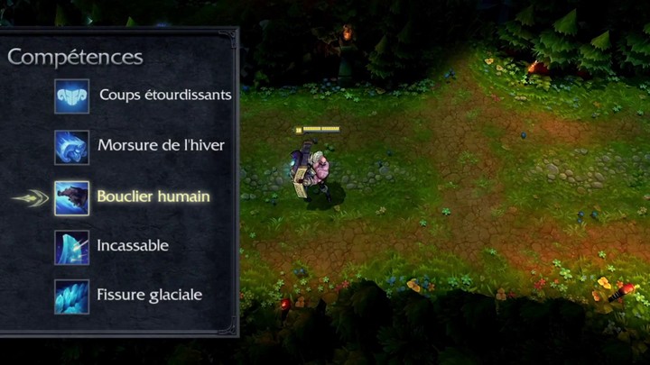 Focus sur Braum, le grand coeur de League of Legends (VF)