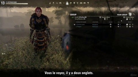 Guide de jeu : les groupes dans Elder Scrolls Online (VOSTFR)