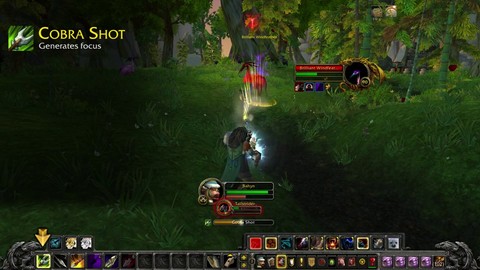 Mini-guide du chasseur de World of Warcraft (VOSTFR)
