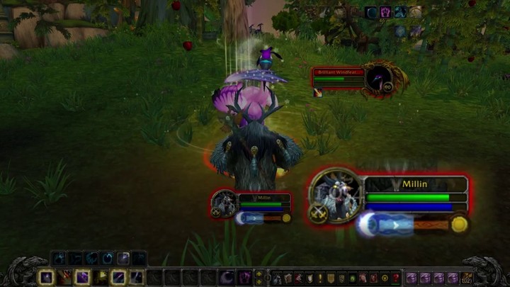 Mini-guide du druide DPS de World of Warcraft (VOSTFR)