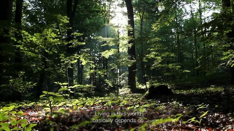 Première bande-annonce du MMO de survie préhistorique Durango (mobile)